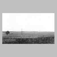 065-0041 1942 in Moterau - Blick ueber die Felder von Otto Dunkel in Richtung Lieblacker Forst..jpg